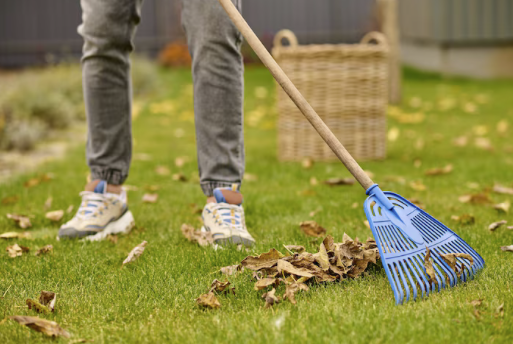 Laub-Beseitigung Person mit Rechen sammelt Laub auf einer grünen Rasenfläche neben einem Korb.